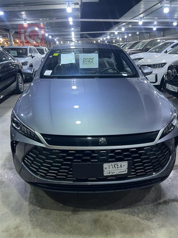 بي واي دي Qin Plus 2025 للبيع في العراق -  بغداد